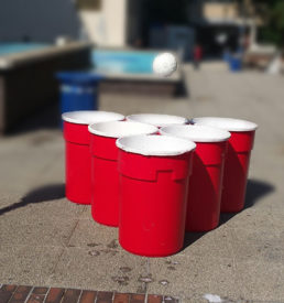 Giant Pong